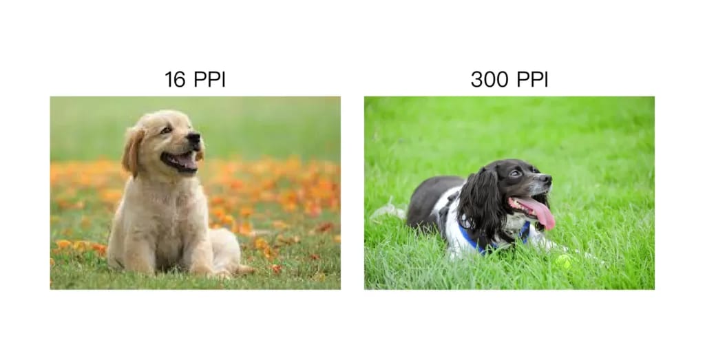 同一張圖片以不同有效 PPI 印刷時的清晰度比較